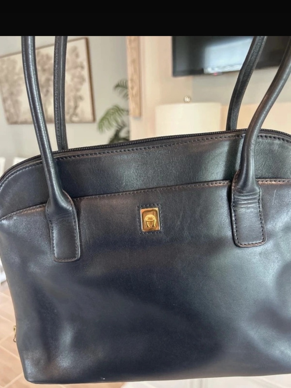 Etienne Aigner Navy Leather Handbag with Gold Accent